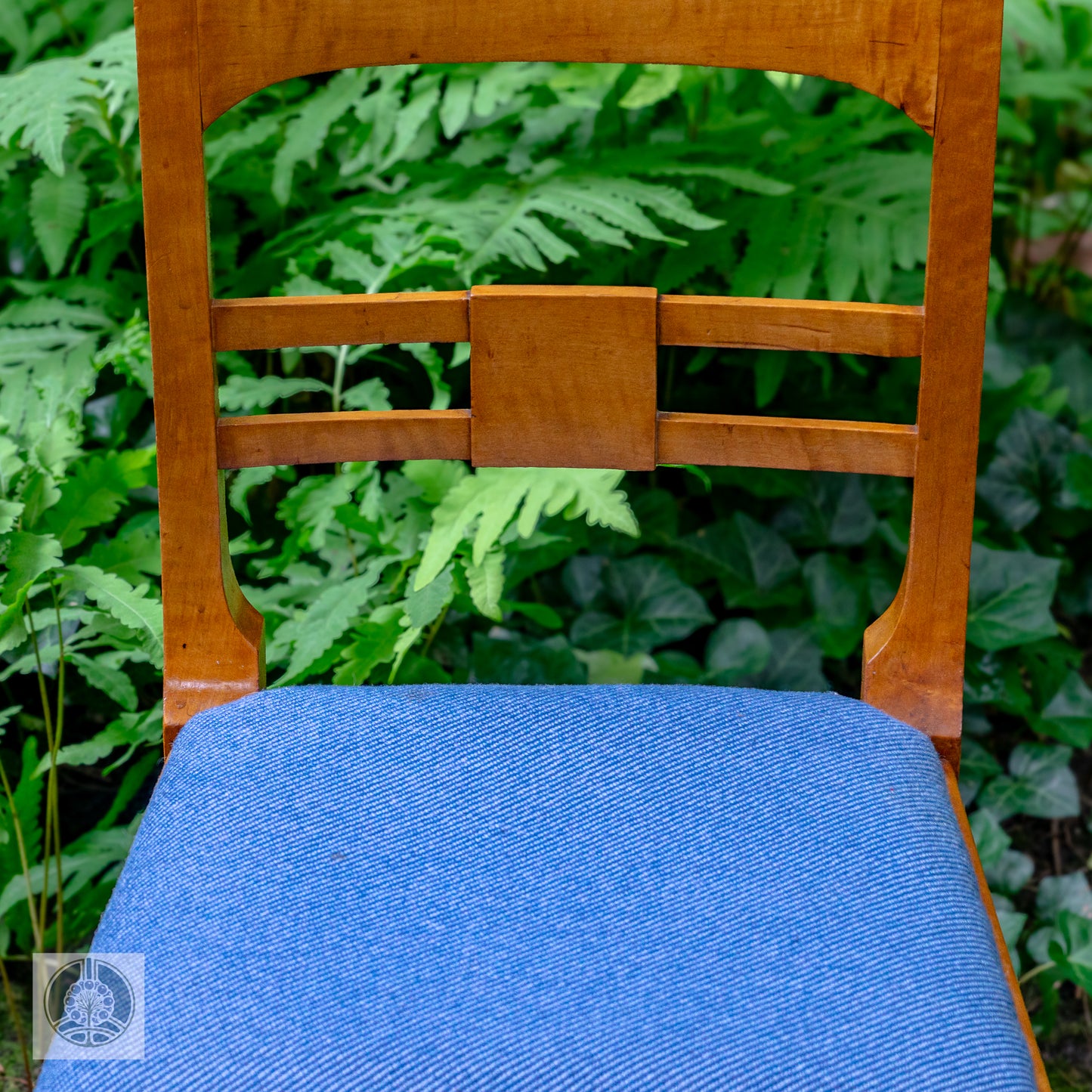 A Pair of Nineteenth Century Birch Side Chairs